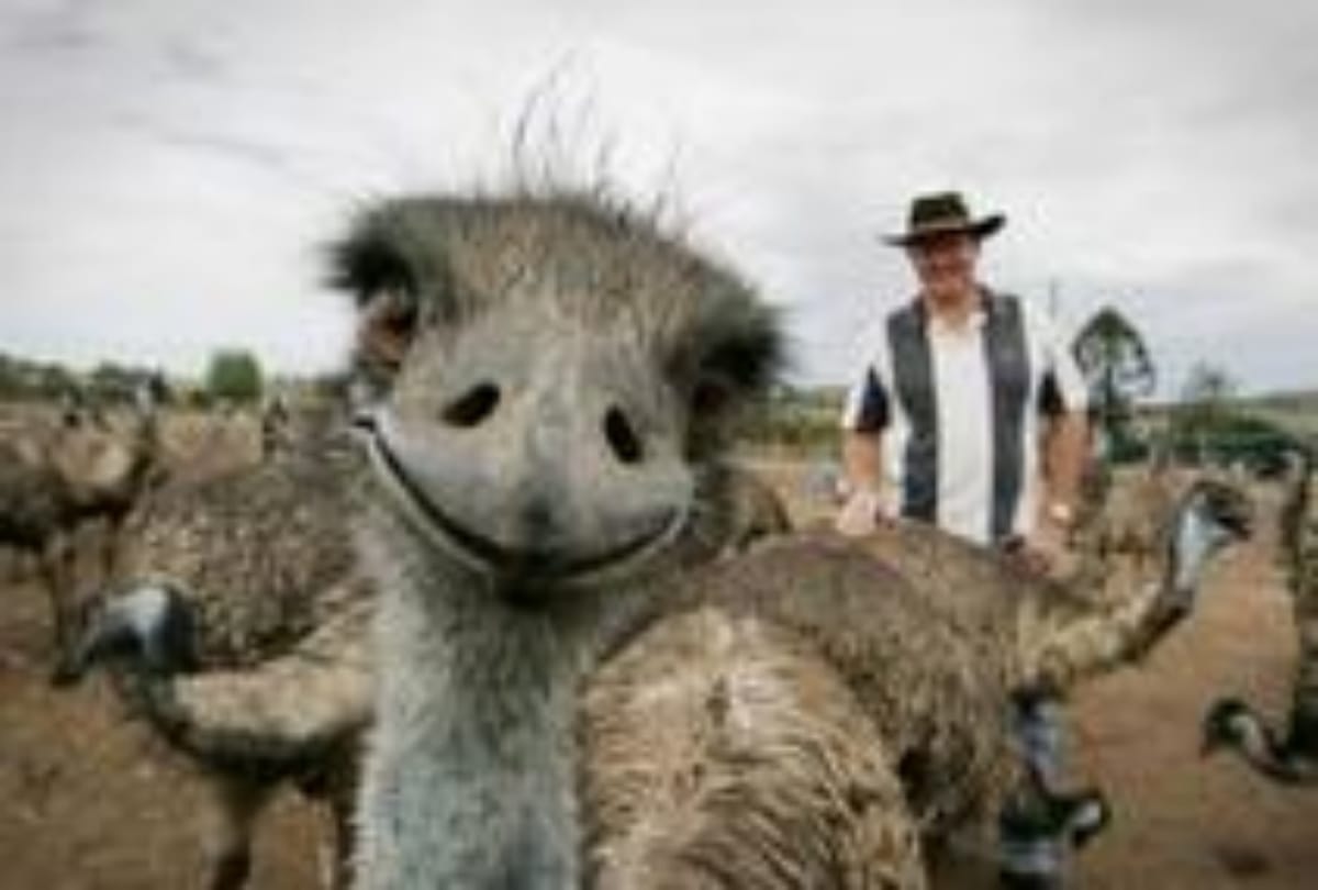These Animals With Funny Impressions & Human Faces
