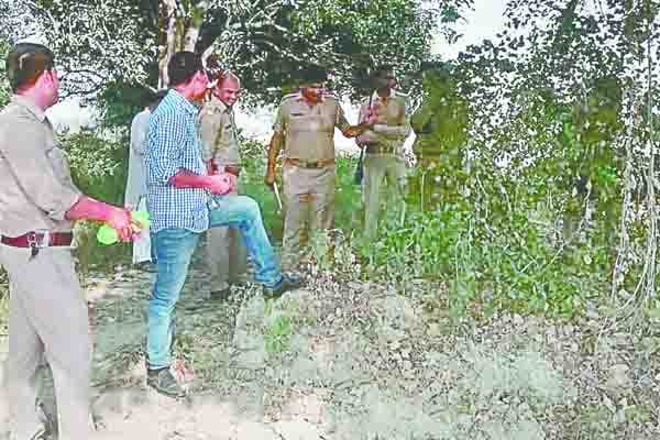 Remnants of cattle found in garden in unnao