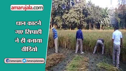 viral video: PAC sepoy Working in the officer's farm