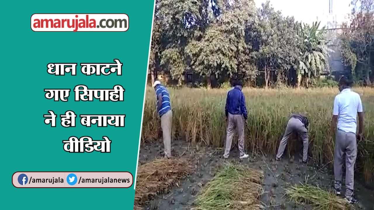 यूपी न्यूज