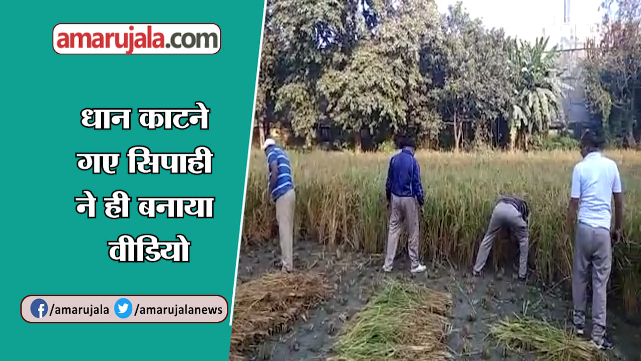 यूपी न्यूज