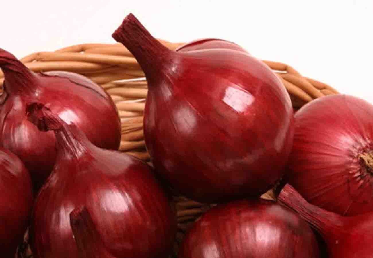 A special species of onion prepared in banda agriculture university