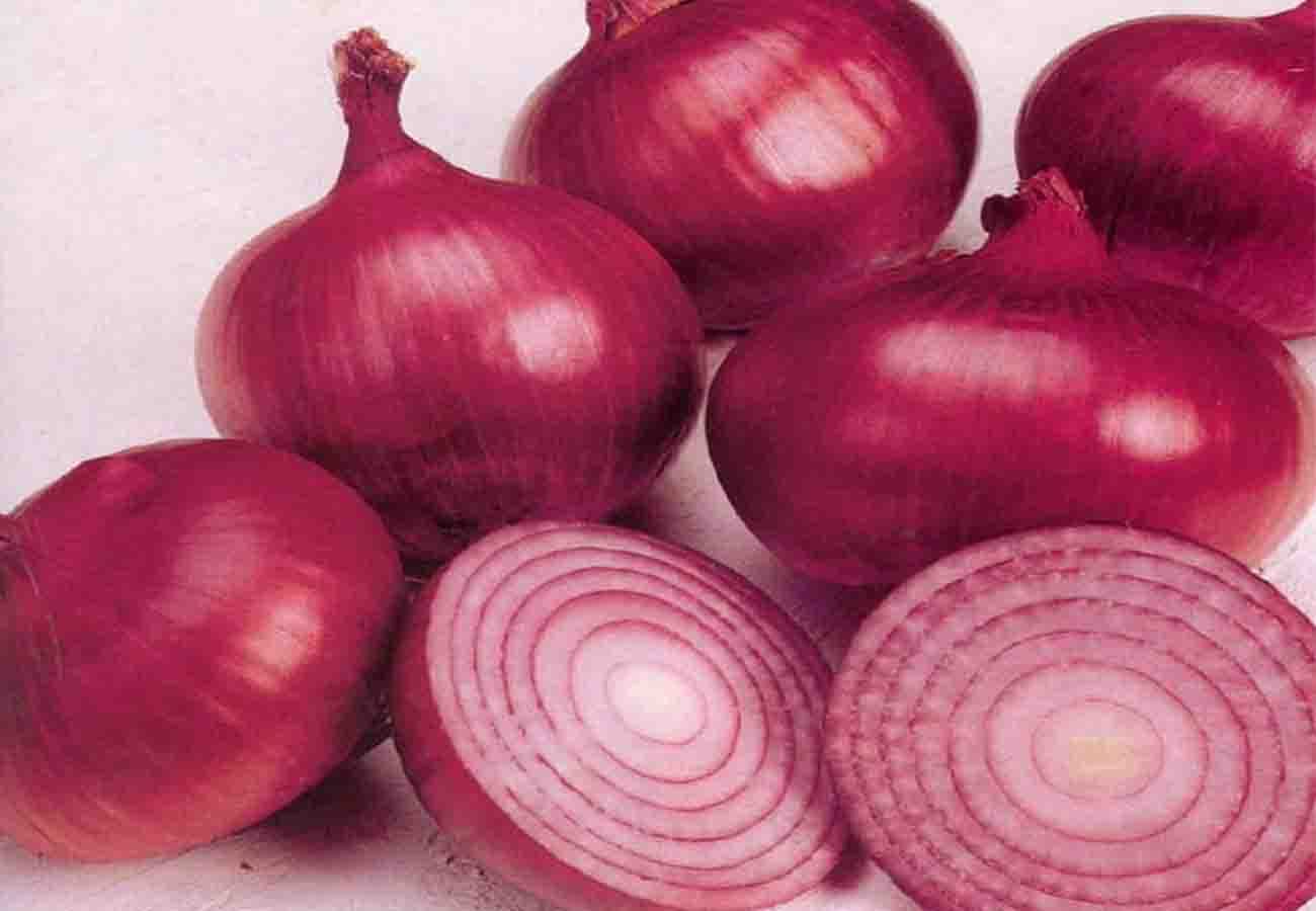 A special species of onion prepared in banda agriculture university