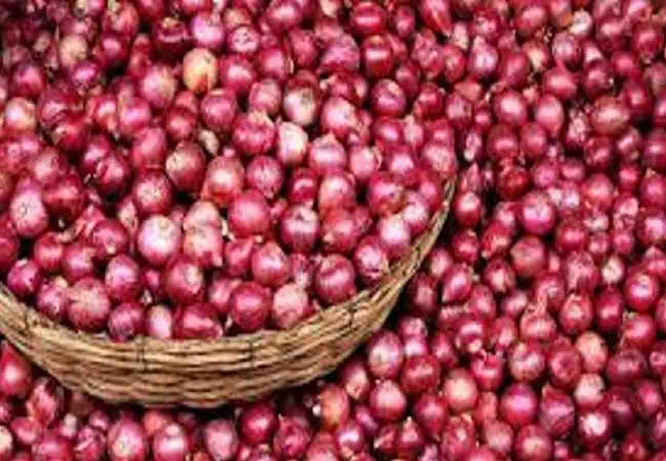 A special species of onion prepared in banda agriculture university