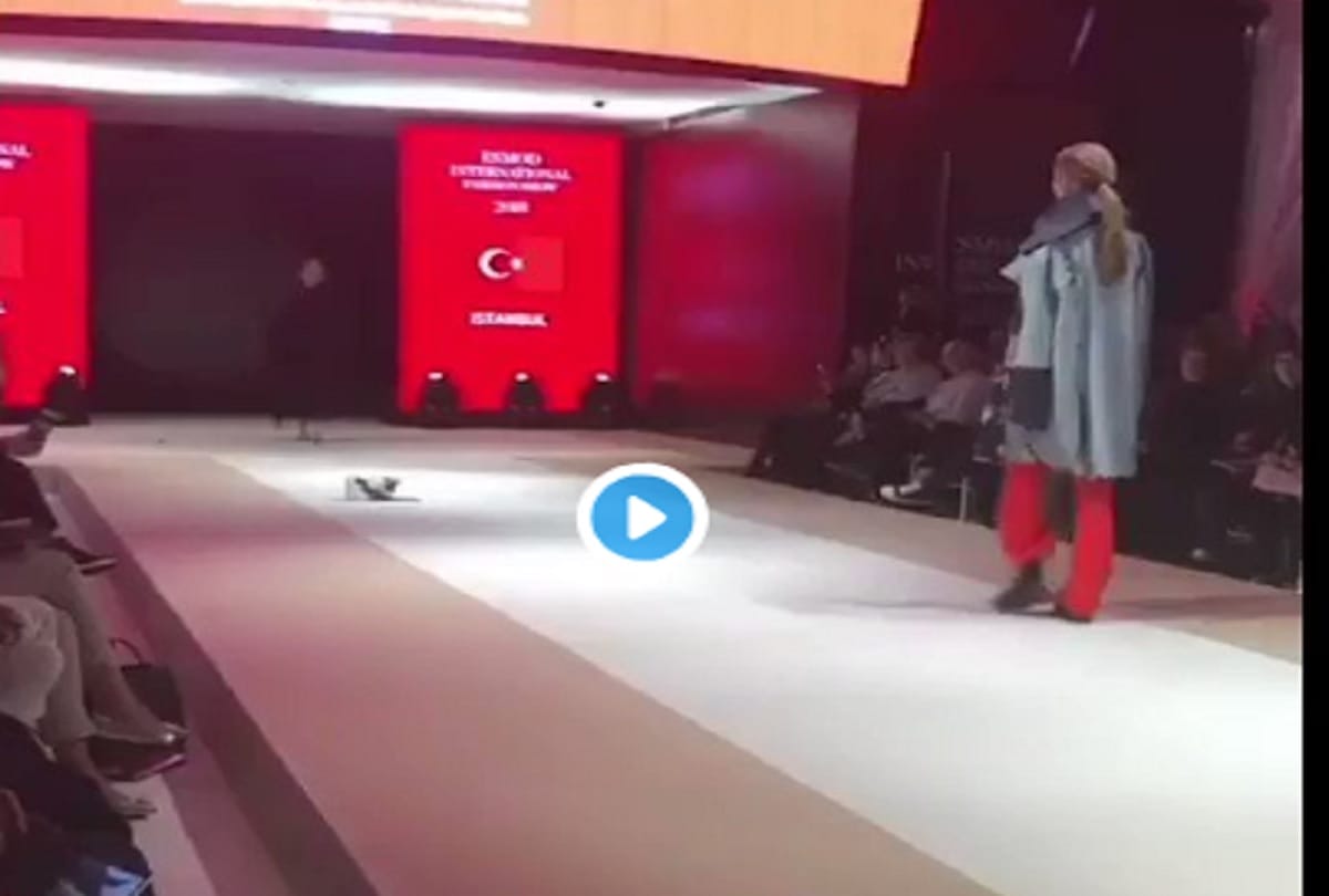 cat steals the show after crashing fashion event in istanbul, video viral