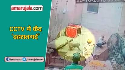 Monkey snatched snake from Snake charmer in Mathura incident caught in cctv