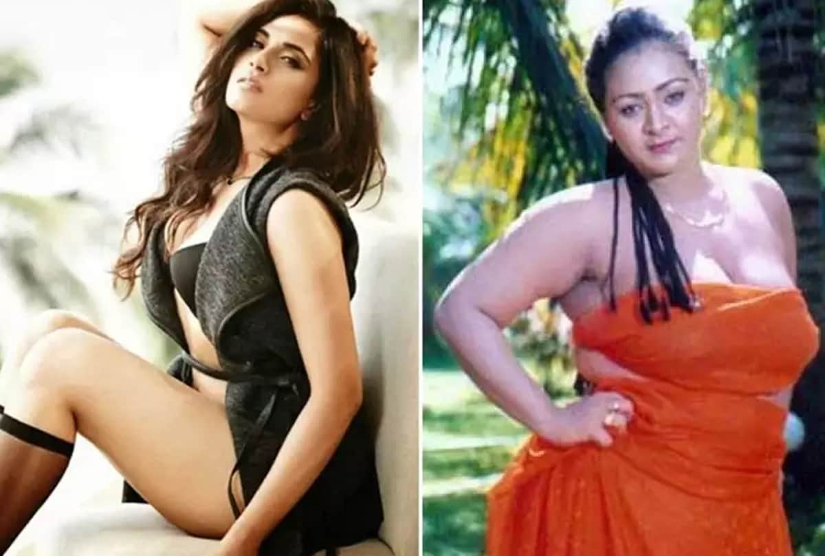 Richa chadha says there is lots of diffrences between porn star and adult star