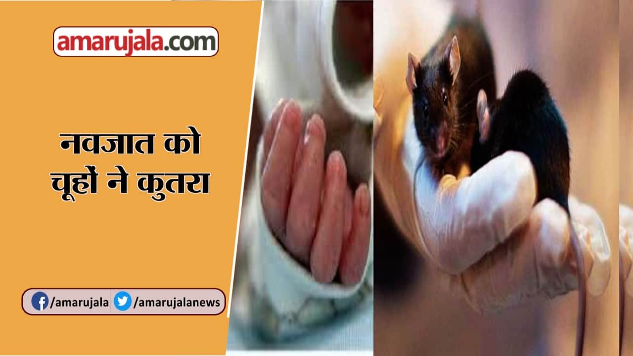 बुलेटिन