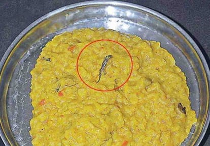poisonous rice served in mid day meal in hardoi, 27 children are in critical condition