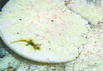 poisonous rice served in mid day meal in hardoi, 27 children are in critical condition