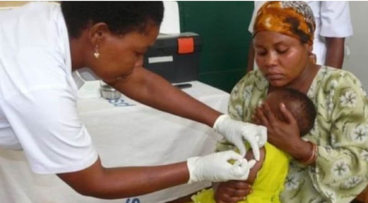 Dogs of Britain is under training for detecting disease