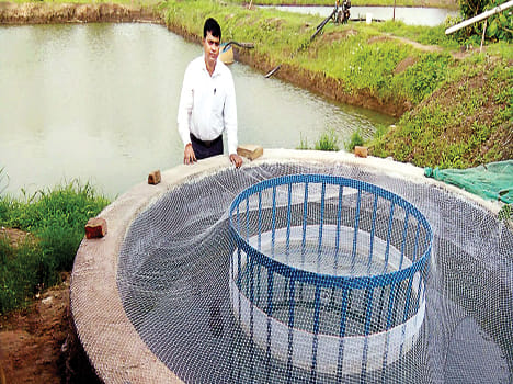 Bundelkhand will become self-sufficient in fish seed production