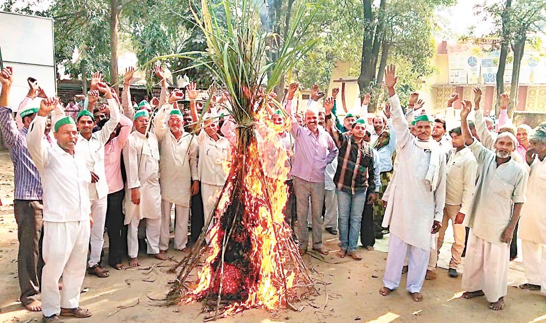 farmers burn holy of sugarcane in hasanpur of amroha, doing protest