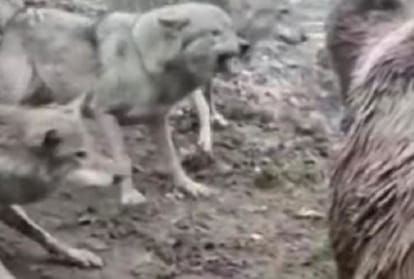 सांकेतिक तस्वीर