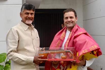 Chandrababu Naidu will meet Rahul Gandhi and Sharad Pawar in delhi today
