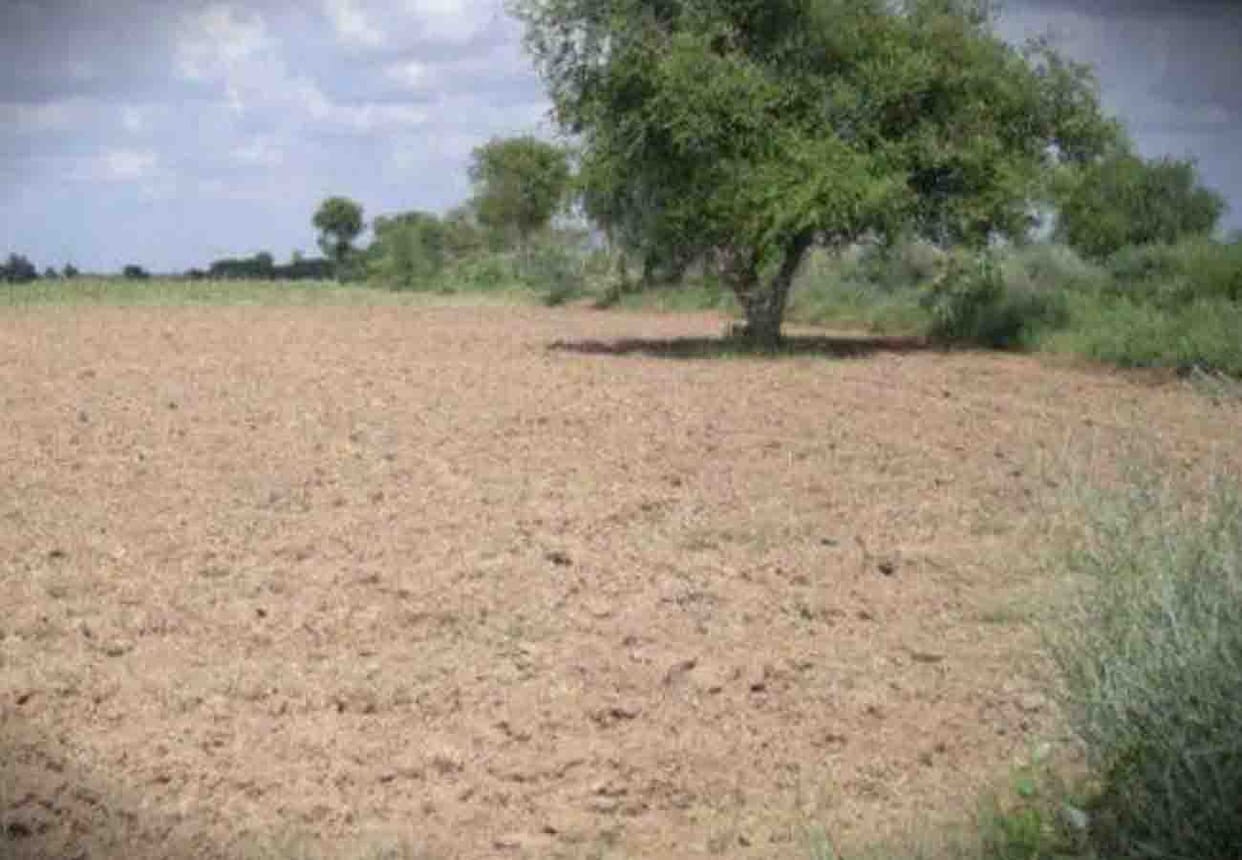 issue of land dispute in kannauj