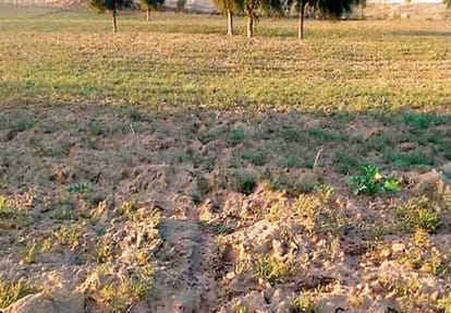 issue of land dispute in kannauj