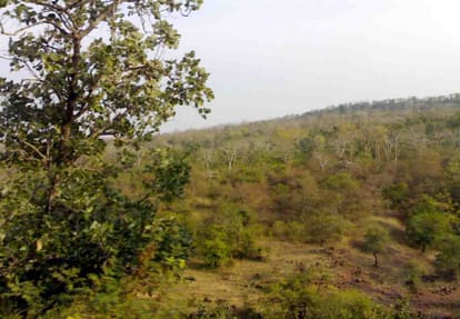 Bandit Queen Sadhana Patel crime story