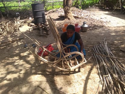 lantana grass maya mahajan harmful forest Coimbatore furniture