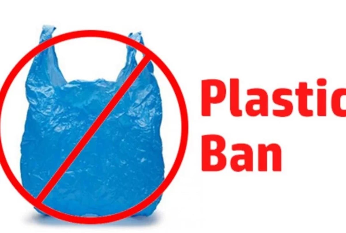 use of single use plastic will end in the whole country by december next year