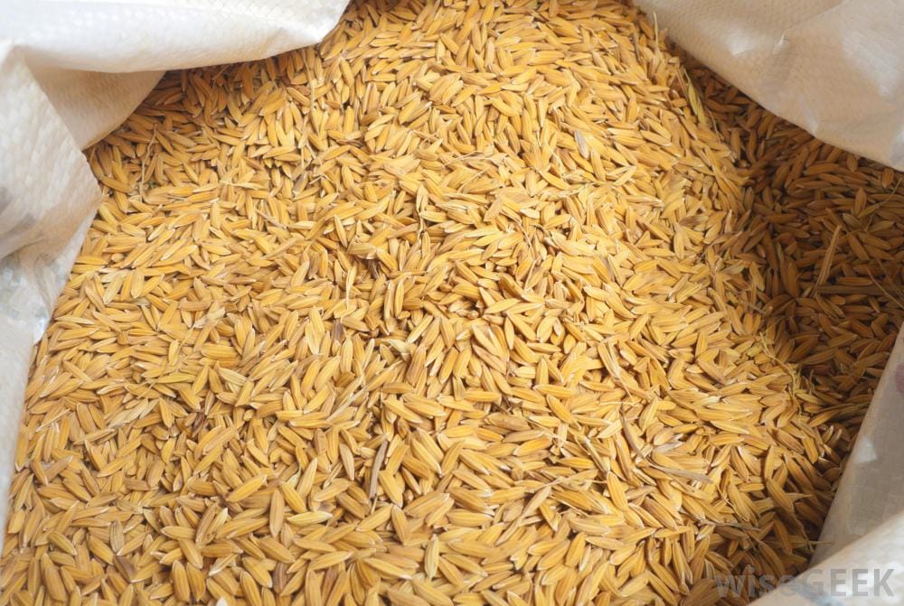 46 centers to procure paddy from today