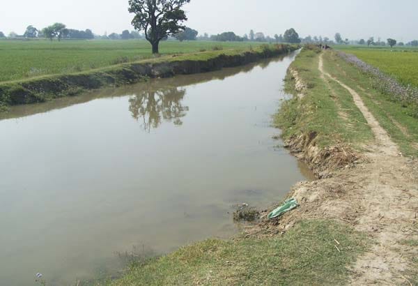 not work done silt clining in rohni canal