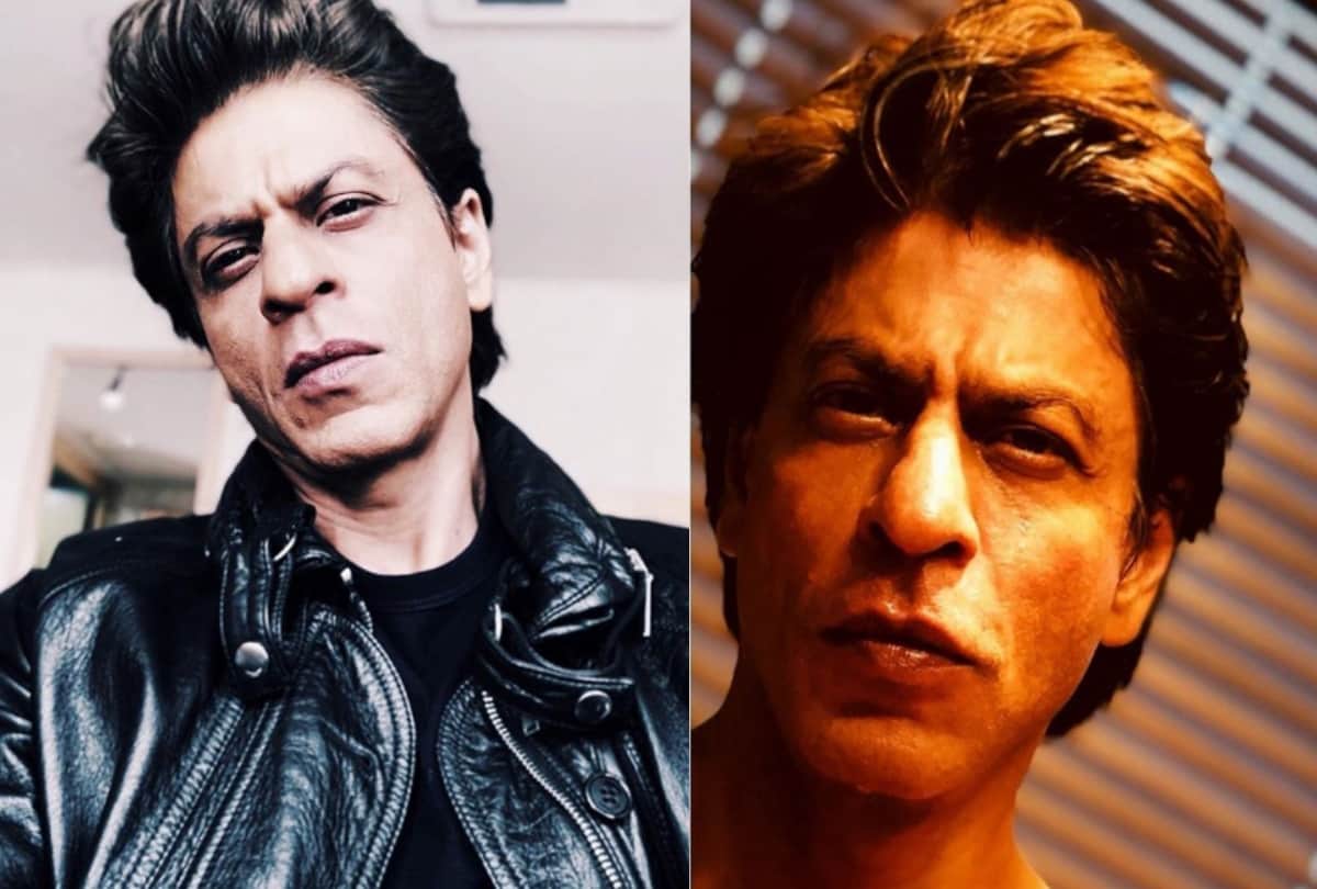 shah rukh khan finally agreed to don 3