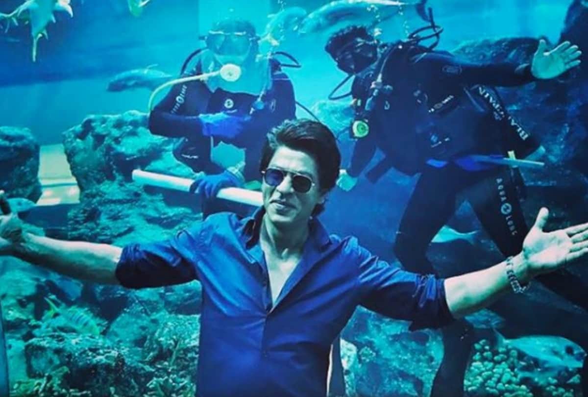 Shah rukh Khan film The Lion King trailer out, fans congratulate him on social media