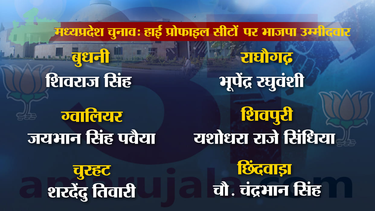 BJP MP candidates list 2018: BJP releases first list, know big things