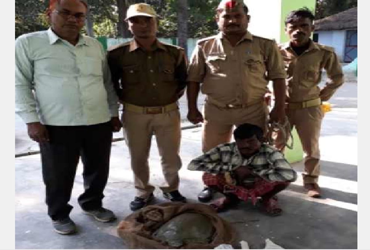 hunter arrested with eight kg of tortoise in pilibhit