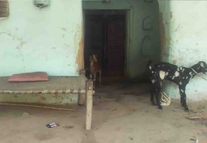 father shot daughter while talking on mobile phone