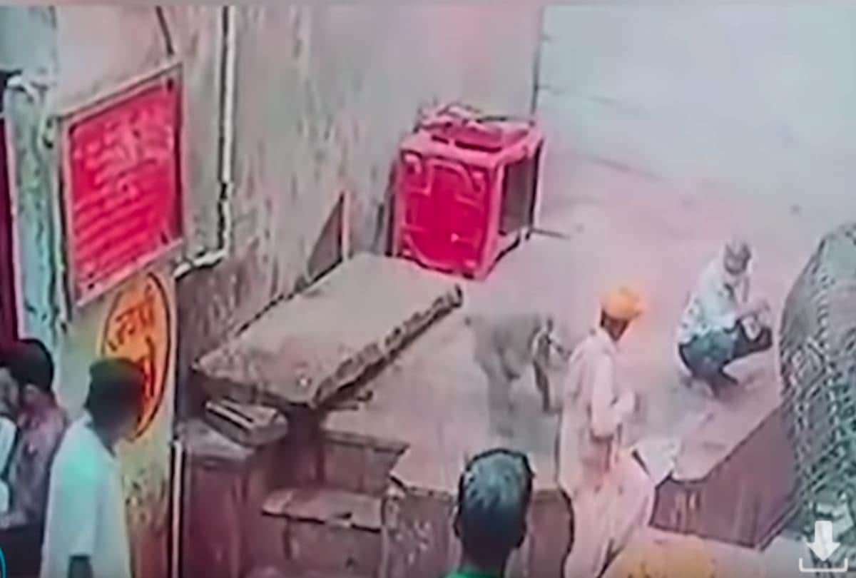 Video being viral of monkey who snatches snake from snake charmers