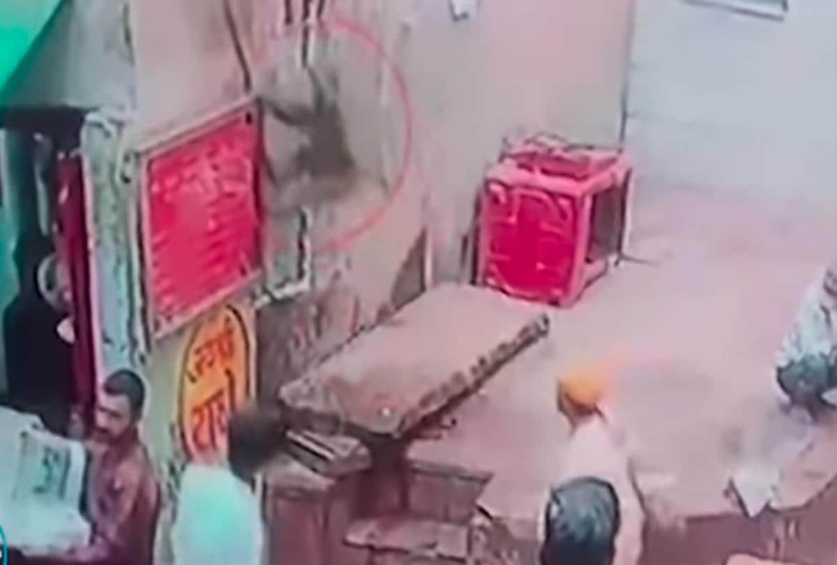 Video being viral of monkey who snatches snake from snake charmers