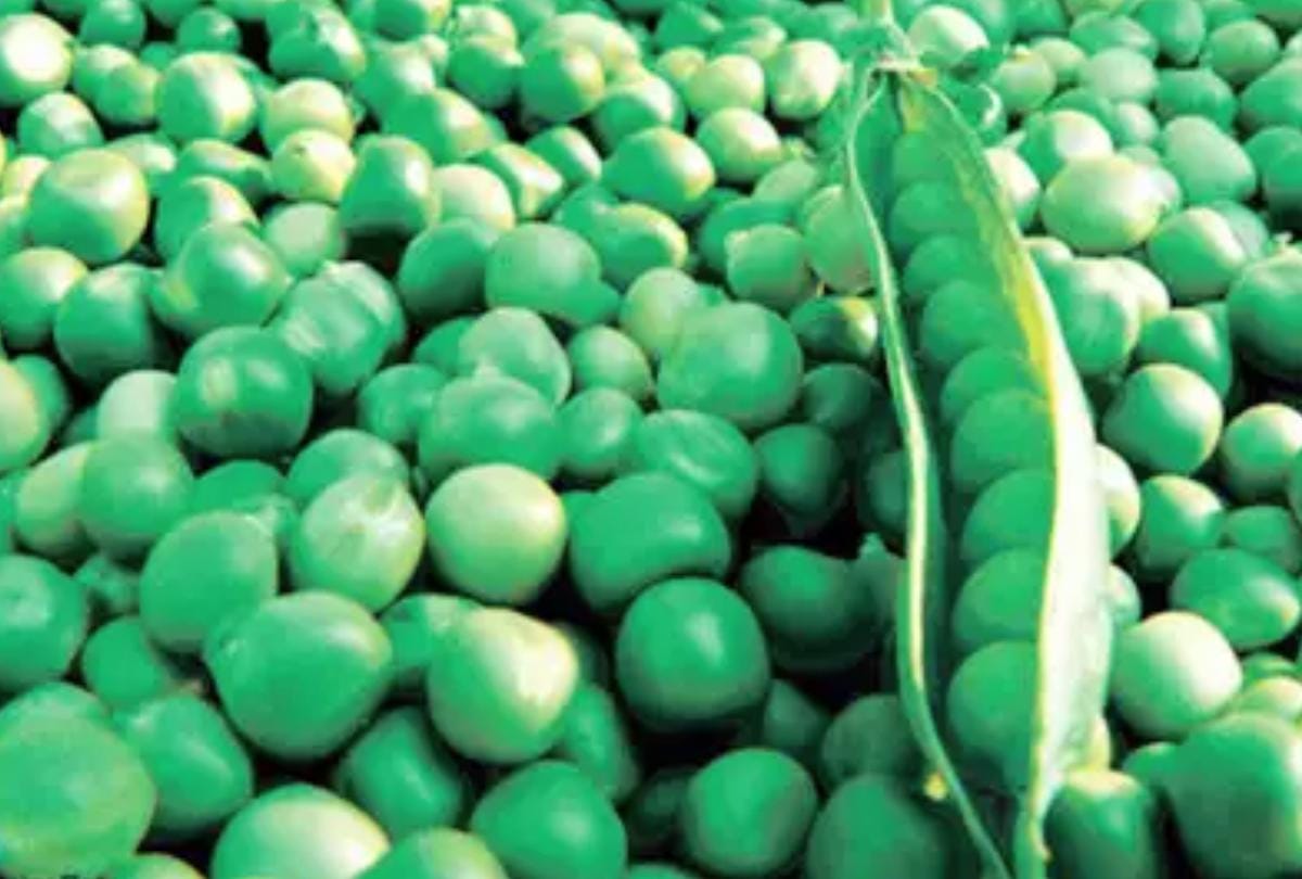 Hike in prices of peas in himachal pradesh mandi