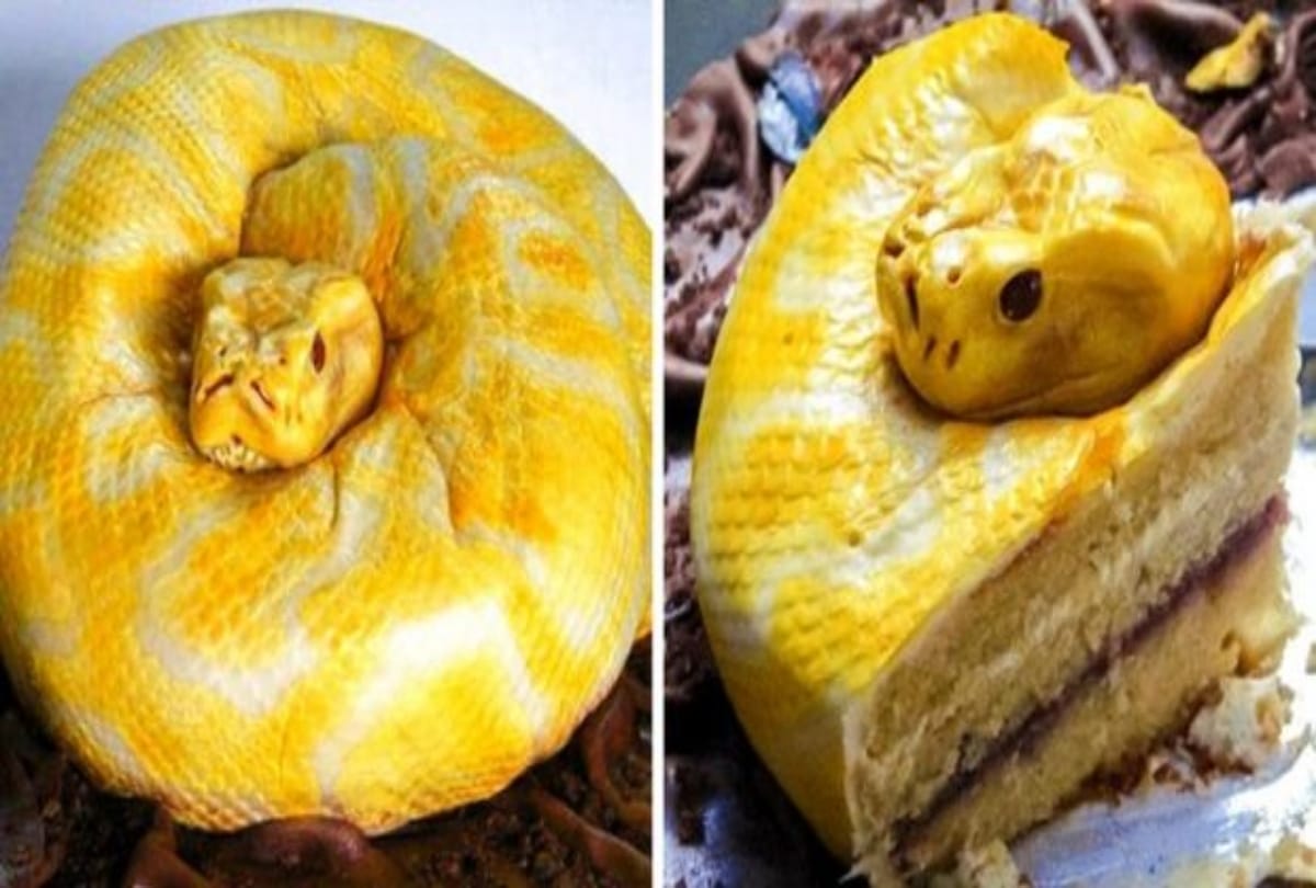 Worlds most Ingenious Cakes That Will Make Your Mouth Water