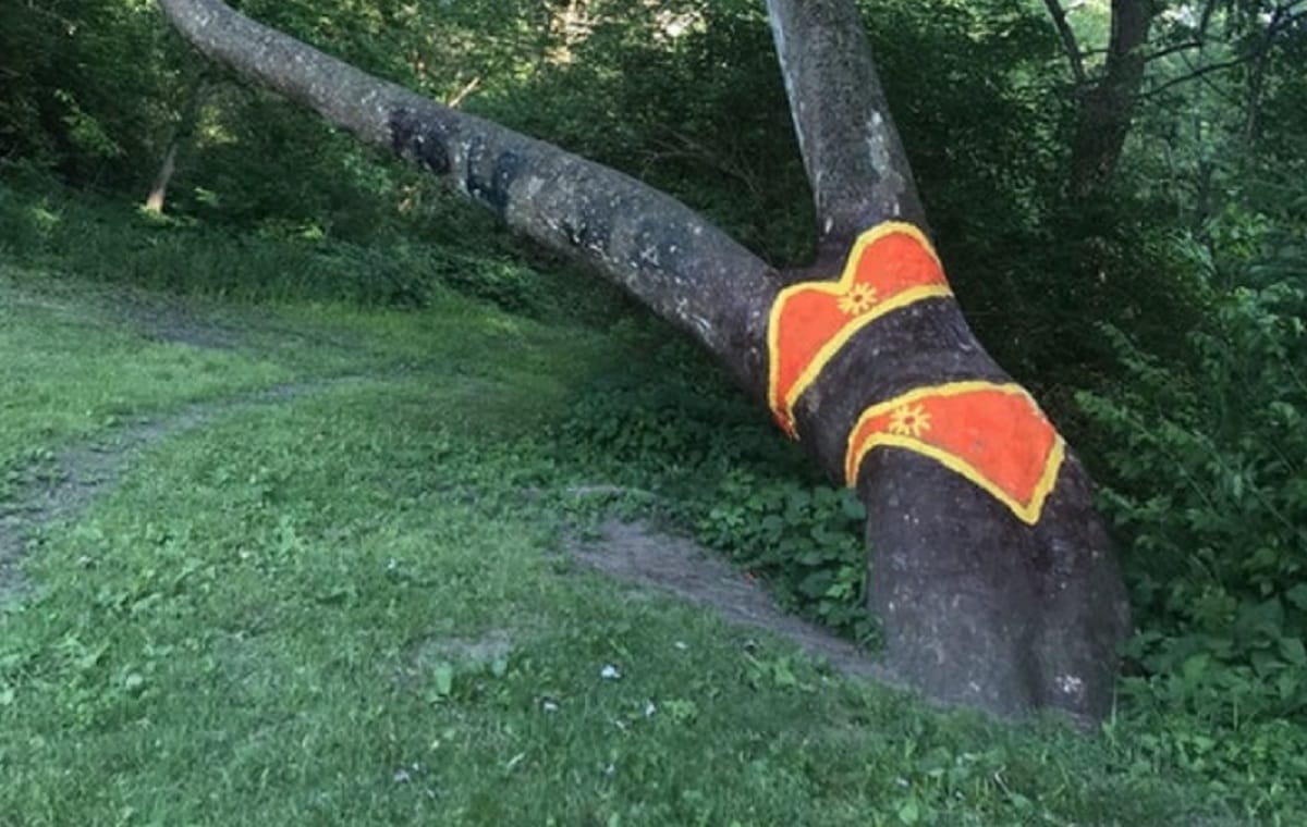 Hilarious Funny photos found during Journey makes you laugh loud