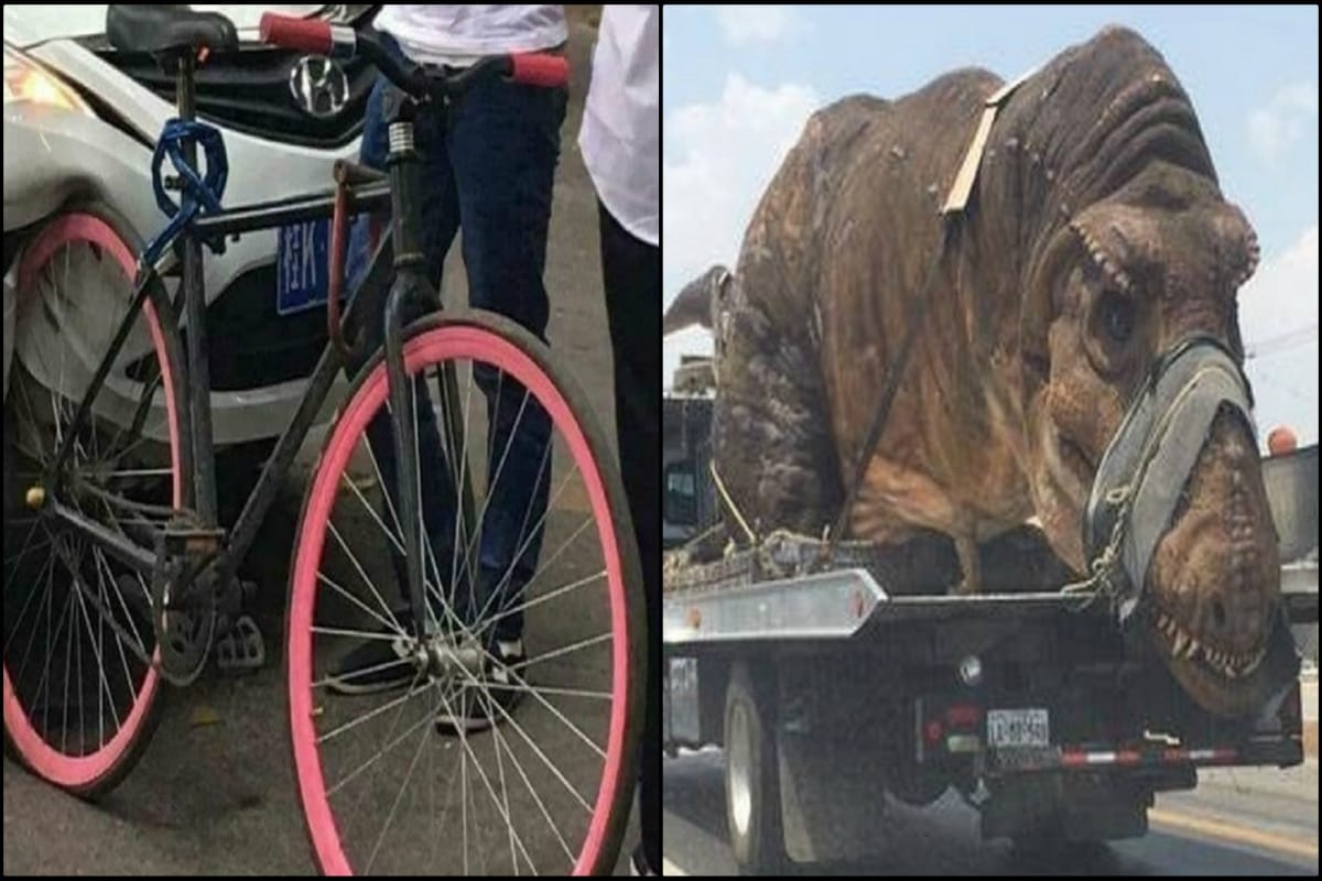 Hilarious Funny photos found during Journey makes you laugh loud