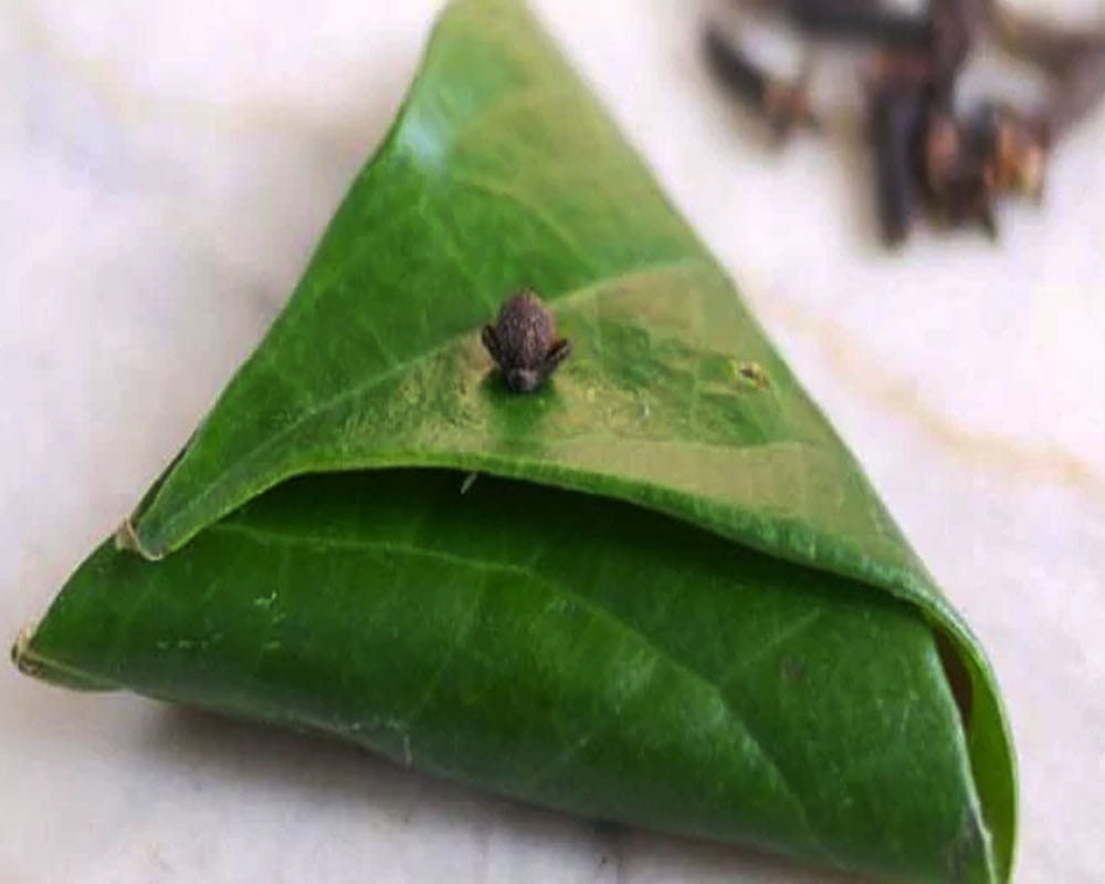 know the benefits of paan leaf