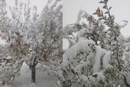 Fresh Snowfall in Kinnaur Himachal Pradesh