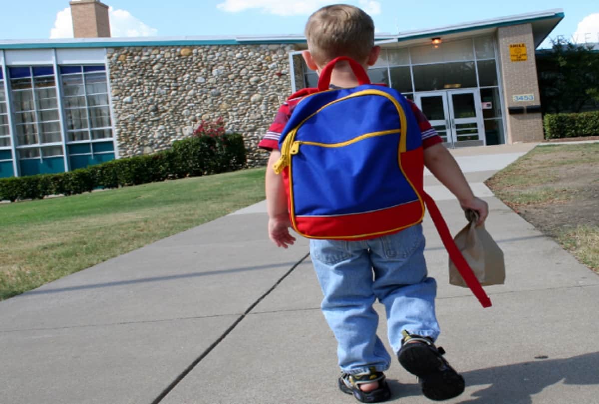 Alive snake found in kid's school bag