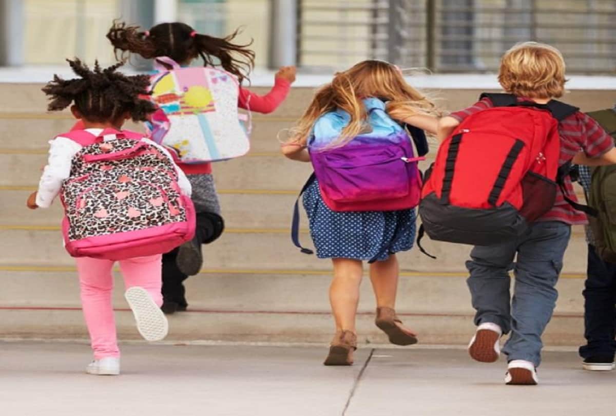 Alive snake found in kid's school bag