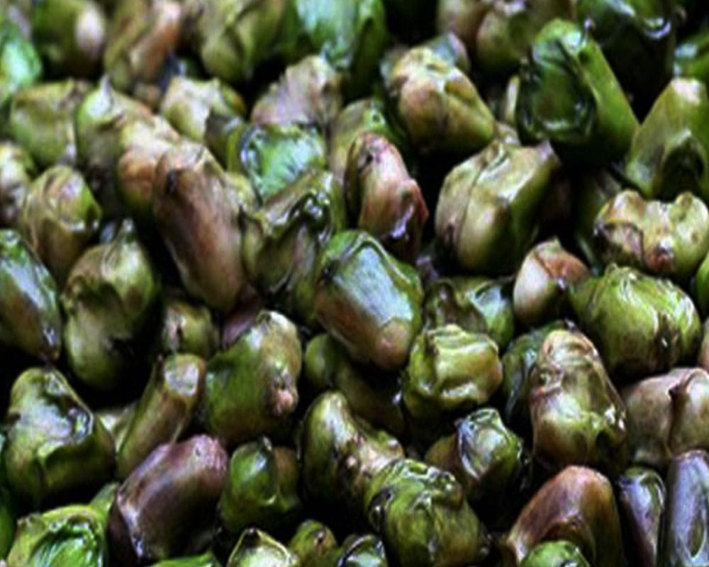 water chestnut health benefits home remedies in hindi singhare ke fayde
