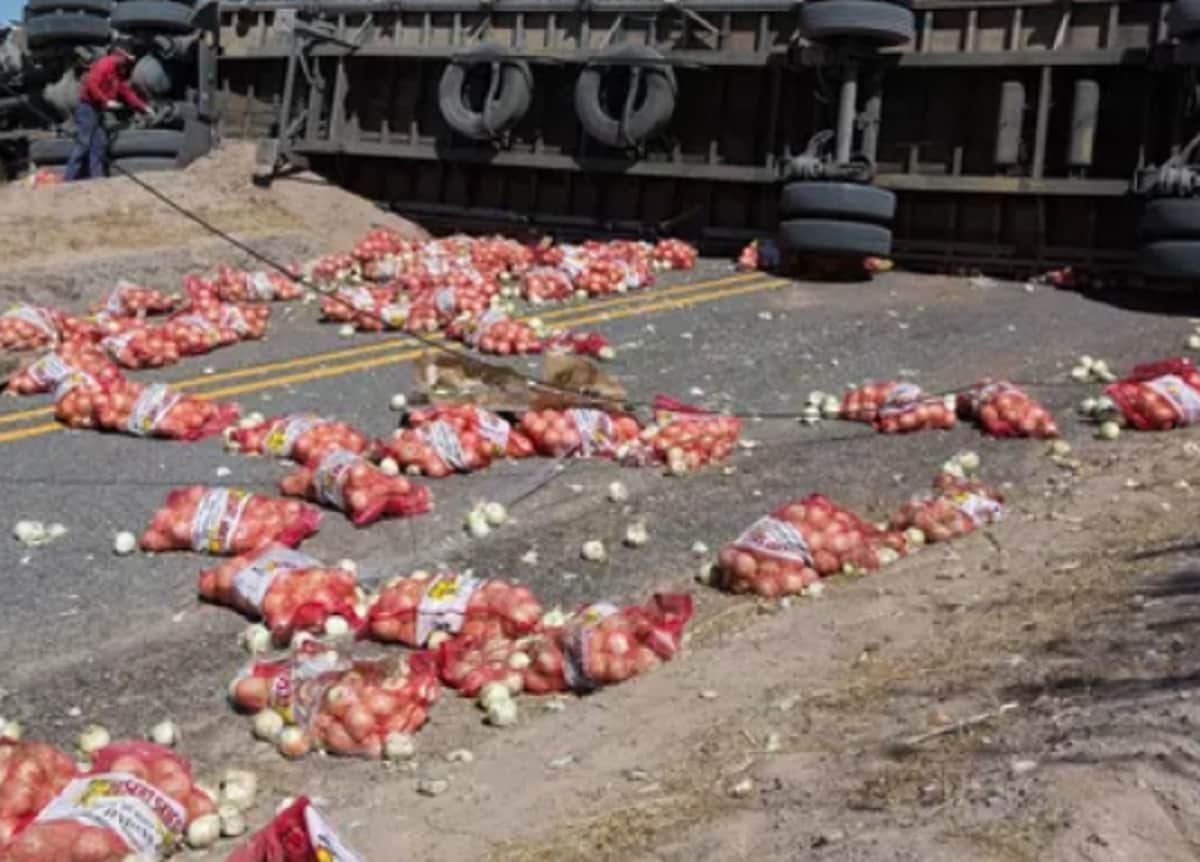 People were busy in collecting of onions while critically injured driver lies on