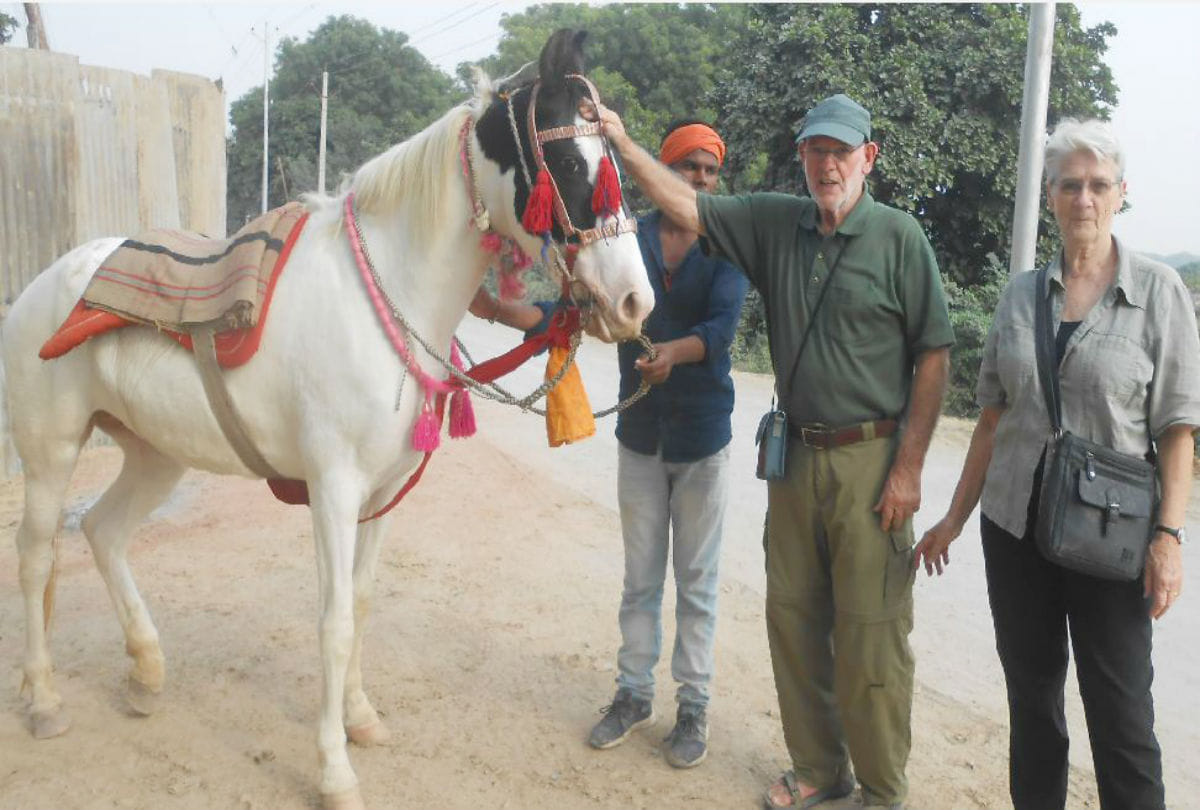 one crore price of horse himalaya laxami in bateshwar pashu mela