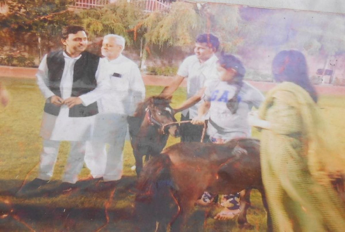 ex cm akhilesh yadav's horses in the bateshwar mela