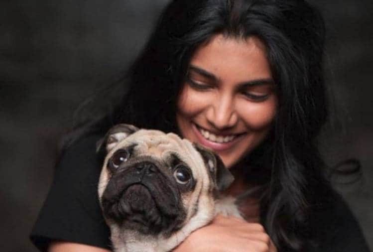 salman khan launch his niece alizeh agnihotri in bollywood