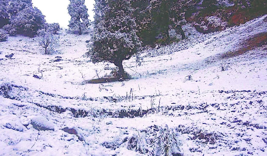 Snow-clad peacock peaks