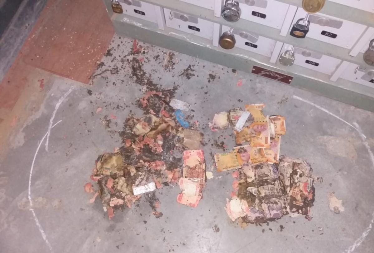 Termite on 1.5 lack rupees note in bank locker of kangra central cooperative bank