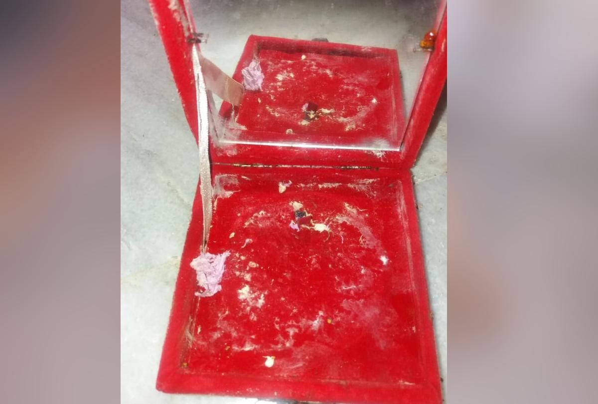 Termite on 1.5 lack rupees note in bank locker of kangra central cooperative bank