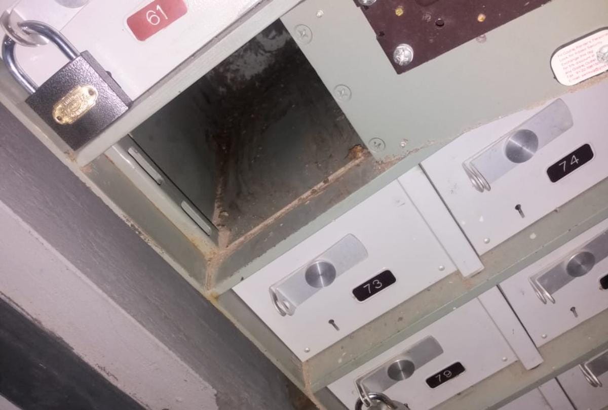 Termite on 1.5 lack rupees note in bank locker of kangra central cooperative bank